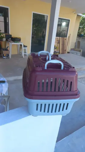 Vendo caixa para transportar pets G n°4 