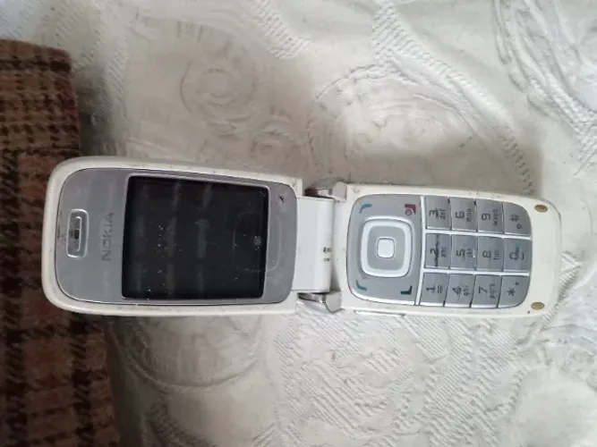 Carcaça celular