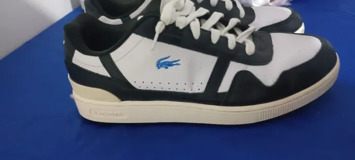 Tênis lacoste original masculino 