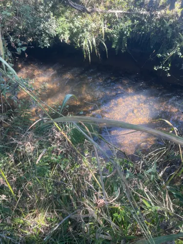 Área em Bocaina Do Sul 