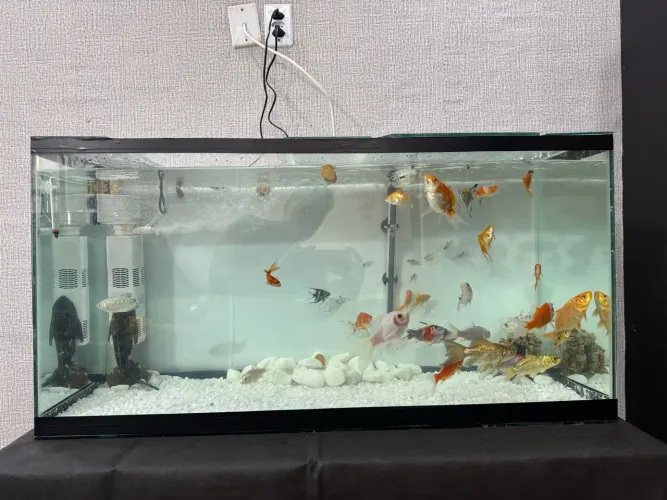 Aquário 200L + Base