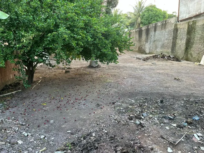 LOTE 360M² PONTA DA FRUTA