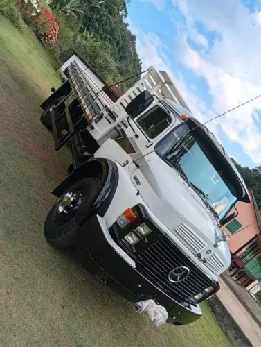 Caminhão 1113