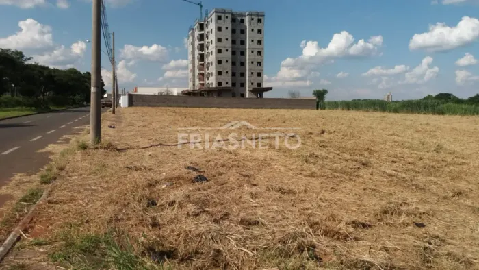 Terreno Para Locação Avenida Francisco Luiz Rasera No Bairro Agua Branca com 3.000m²