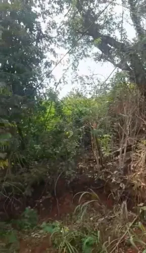 Lote em Sabará- Bairro Coqueiros 