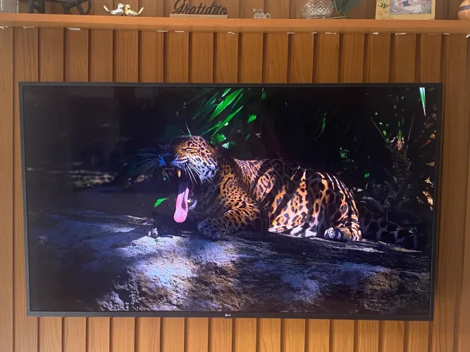 Vendo televisão LG 70 polegadas geladeira Brastemp