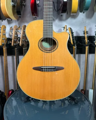 Viola?o Yamaha APX 5NA