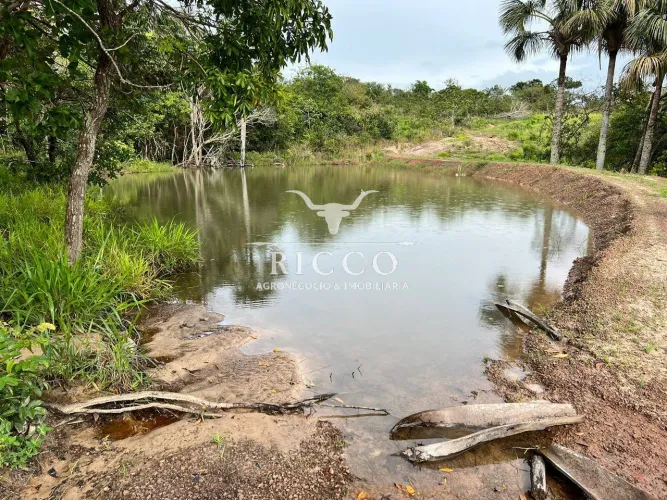 CHÁCARA À VENDA EM PARAÚNA/GO | 15,5 ALQUEIRES | 11 ALQUEIRES PLANTANDO