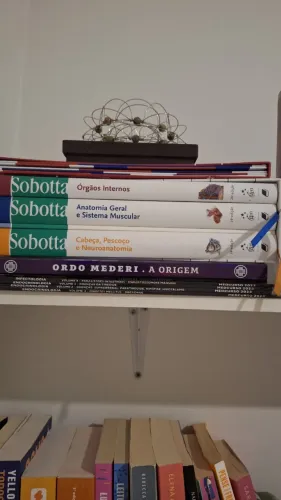 Kit livros