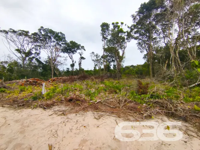 Terreno | São Francisco do Sul | Ervino