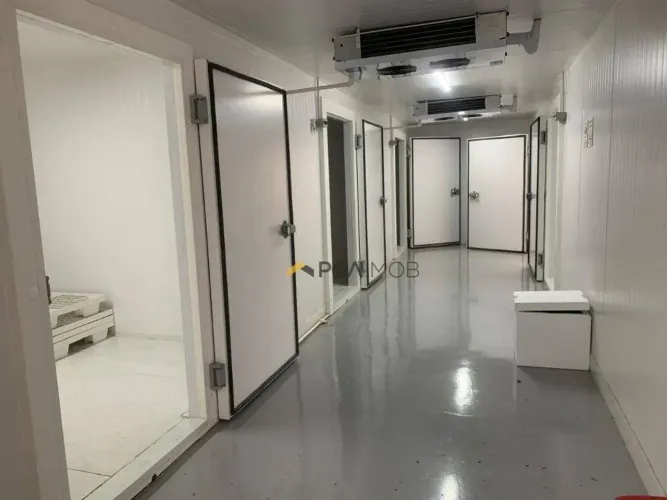 EXECEPCIONAL PAVILHÃO COM 4 CÂMERAS REFRIGERADAS