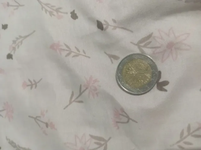 Moeda 2 euro