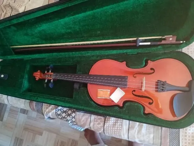 Violino 