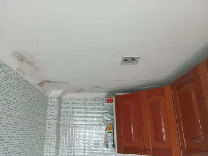 PVC . drwyall e forró removível 
