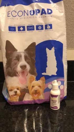 Tapete higiênico + urine on