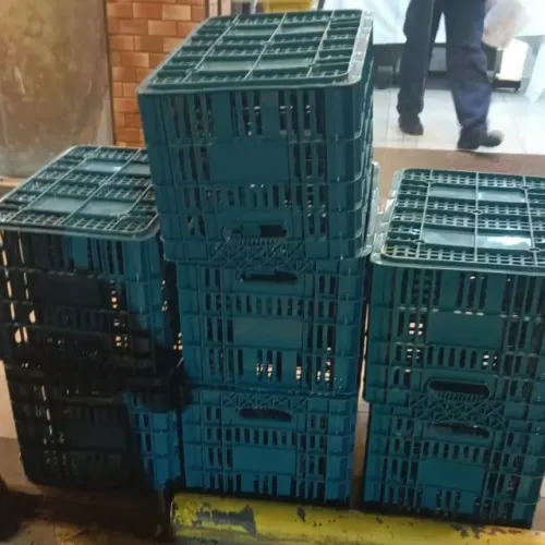 CAIXA HORTIFRUTI PADRÃO CEASA  