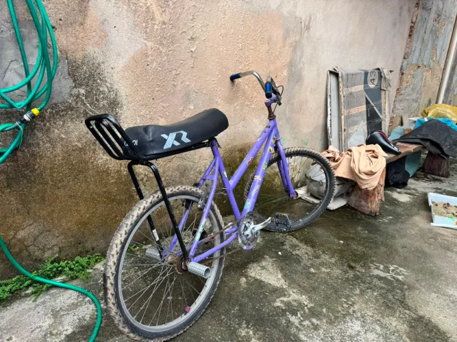 Bicicleta 244