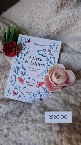 Livro seminovo O Livro da Gratidão Carolina Chagas