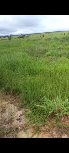 Sítio em Mirante da Serra