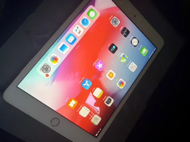 iPad