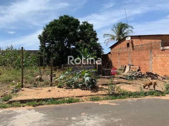 Terreno à venda, São Jorge - Uberlândia/MG - Rotina Imobiliária