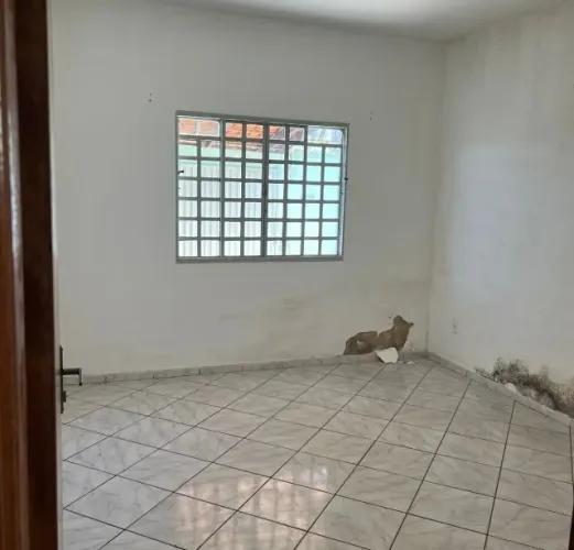 OPORTUNIDADE ÚNICA