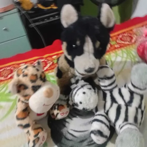 Vendo bichos de pelúcia desapego em bom estado