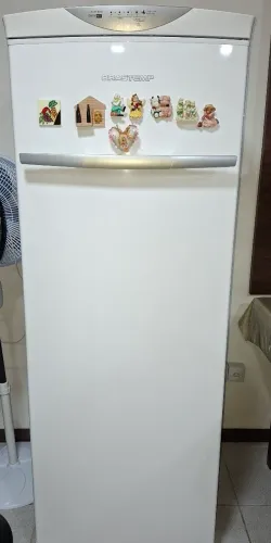 Freezer 276 Litros Vertical Flex Frost Free Brastemp
