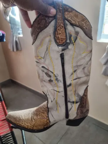 Bota