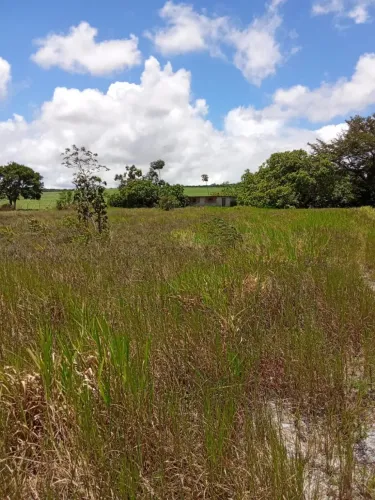 Vendo fazenda em Alhandra