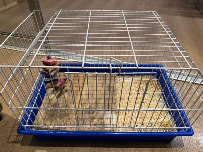 Vendo gaiola para roedores