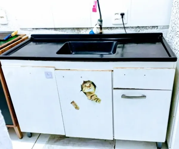 Pia De Mármore Ganha Armário De Cozinha