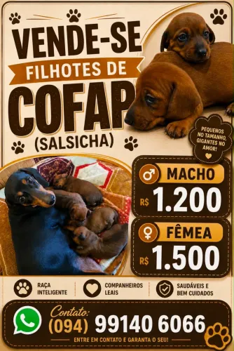 Cofap