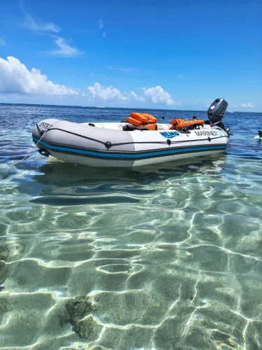 Bote de pesca Mariner 3