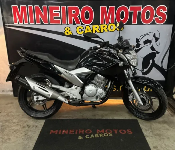 YS 250 FAZER/ FAZER L. EDITION /BLUEFLEX