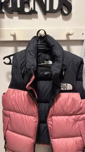 Colete the north face
