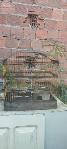 Gaiola de passarinho leia o anúncio