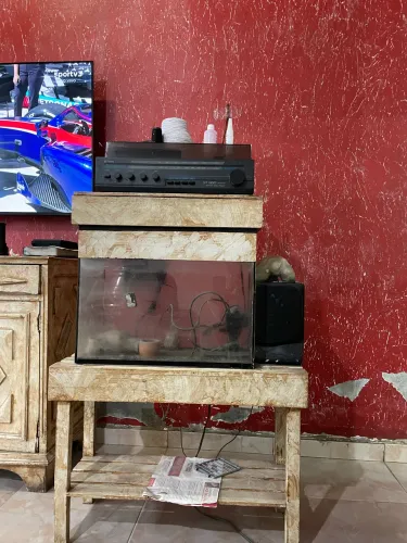 Aquário completo de 50x48 com Banco