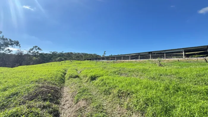 Oportunidade de Investimento Rural em Tatuí  Granja Estruturada com mais de 30.000 m² - In