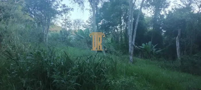 Oportunidade! Sitio de 2,42 hectares em Silveiras - SP