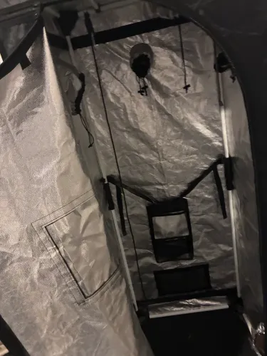 Kit Grow Completo