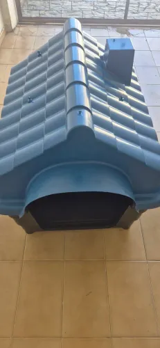 Casa cachorro