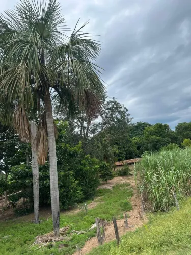 FAZENDA A VENDA EXCELENTE OPORTUNIDADE 30,5 ALQUEIRES , FIGUEIRÓPOLIS, TO.