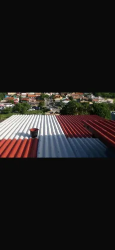 Pintor profissional 