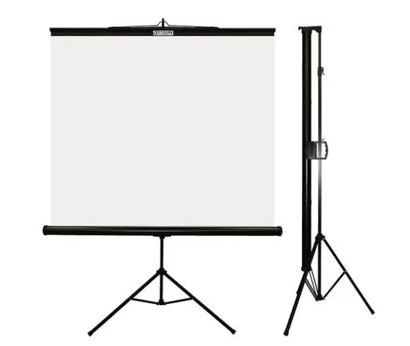 TELÃO, PROJETOR, TELEVISÃO, SOM MICROFONE