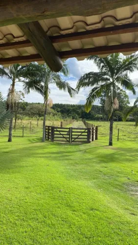 Vendo essa linda Roça 
