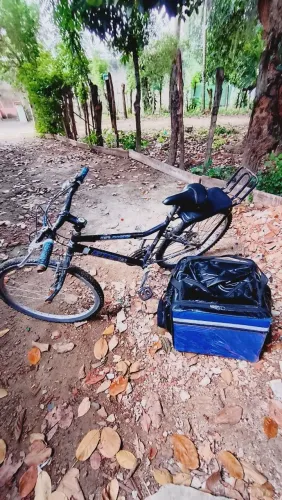 BICICLETA DE TRABALHO 