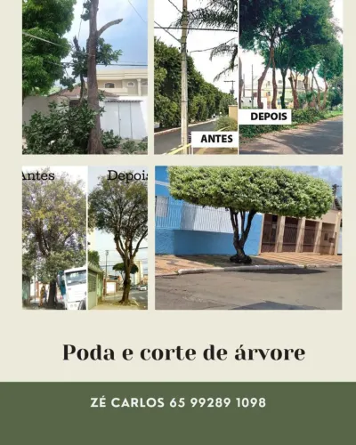 Poda e corte de árvores 