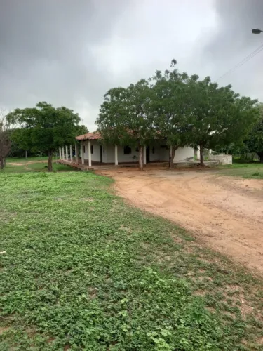 Vendo Fazenda (240 ha)