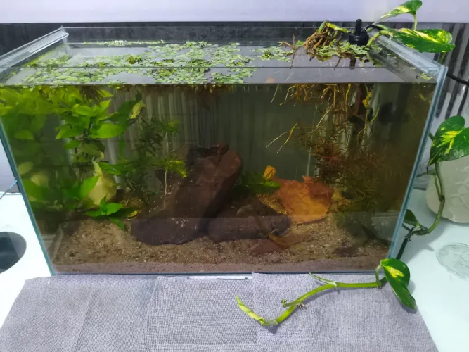 AQUÁRIO 26L(apenas o vidro)